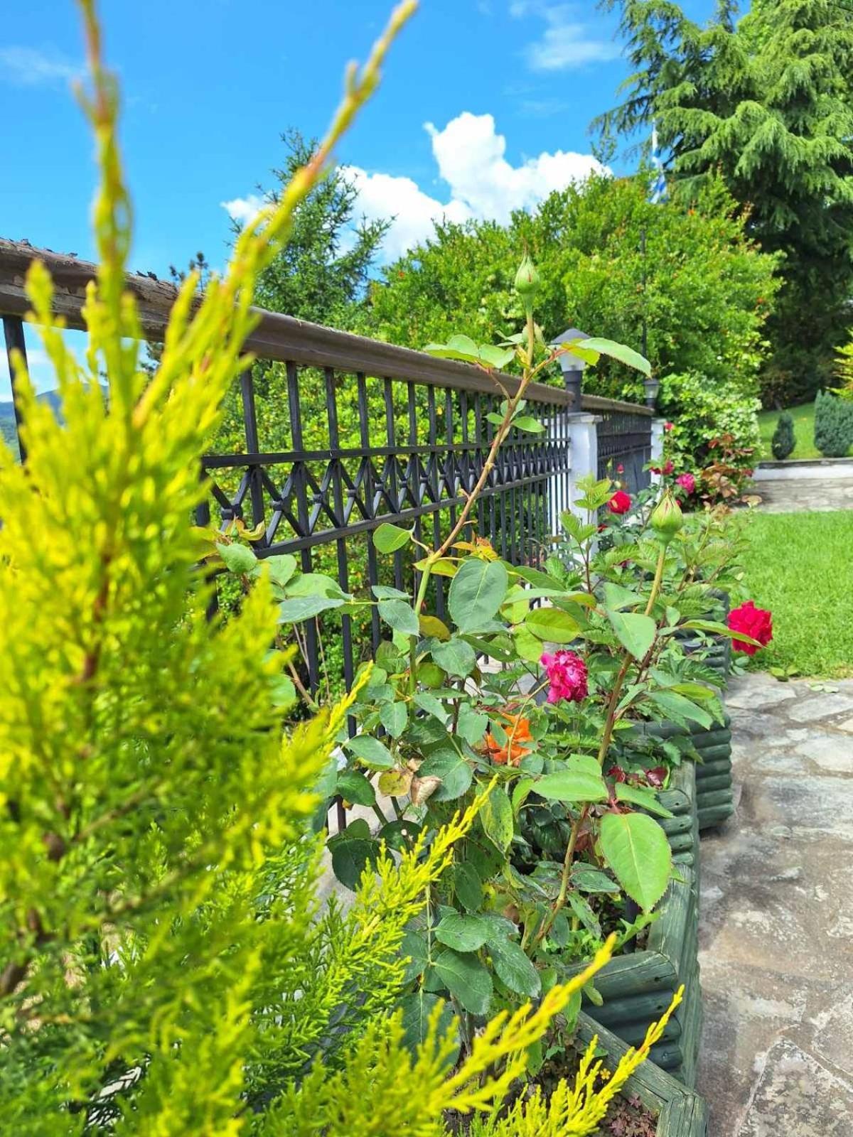 Philoxenia Hotel Paranesti Exterior foto